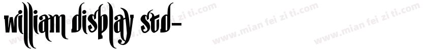 William Display Std字体转换